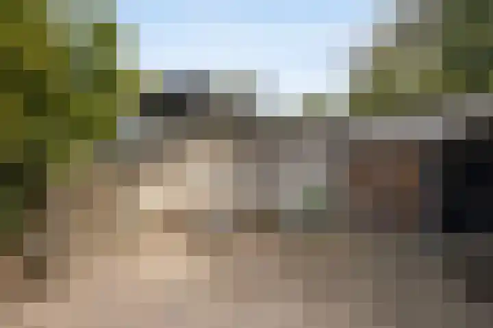 Hogestraat 3 Bosschenhoofd thumbnail 62