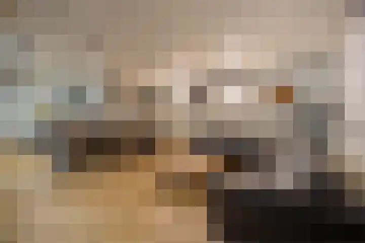 Hogestraat 3 Bosschenhoofd thumbnail 65