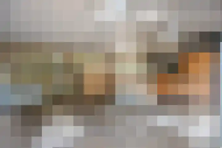 Hogestraat 3 Bosschenhoofd thumbnail 67