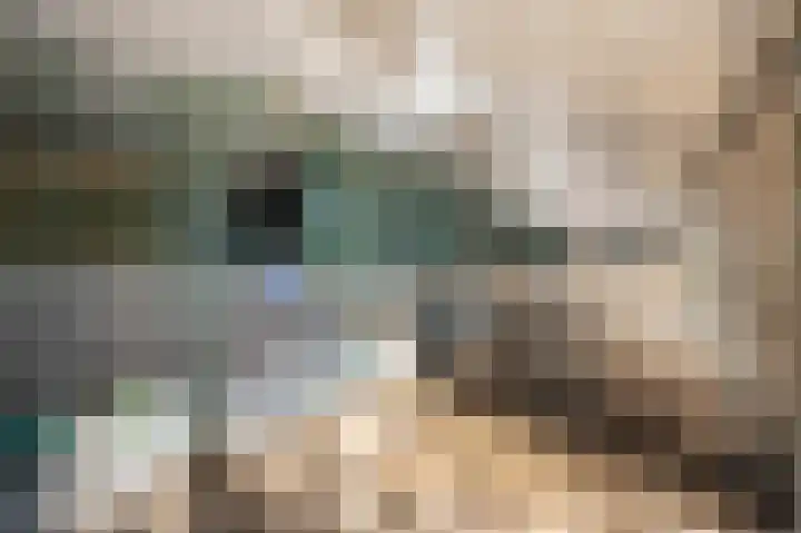 Hogestraat 3 Bosschenhoofd thumbnail 68
