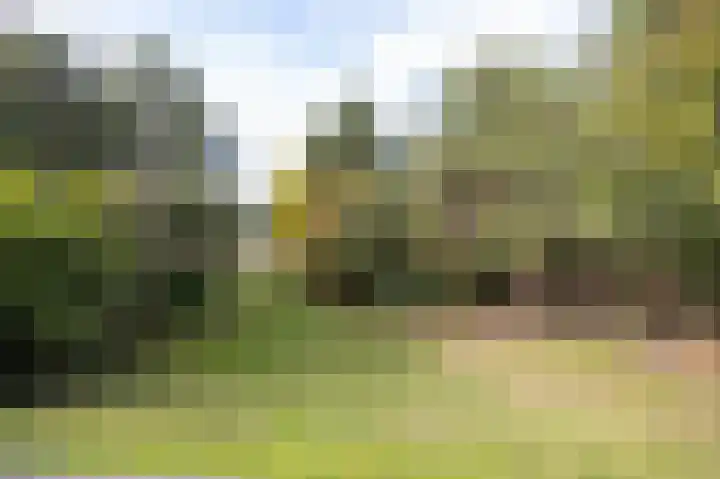 Hogestraat 3 Bosschenhoofd thumbnail 71