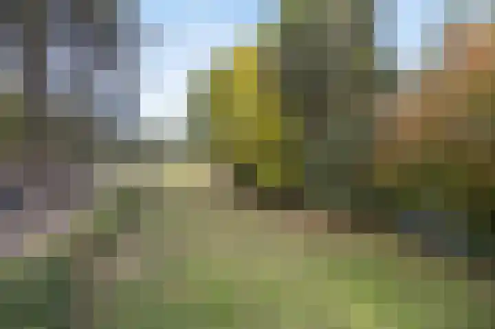 Hogestraat 3 Bosschenhoofd thumbnail 73