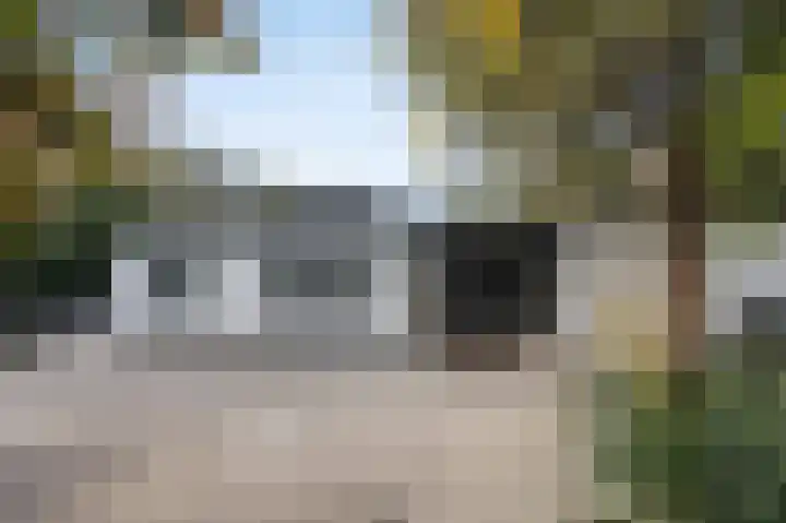 Hogestraat 3 Bosschenhoofd thumbnail 8