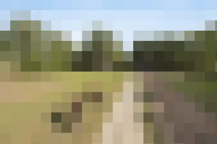 Hogestraat 3 Bosschenhoofd thumbnail 80