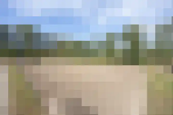 Hogestraat 3 Bosschenhoofd thumbnail 82