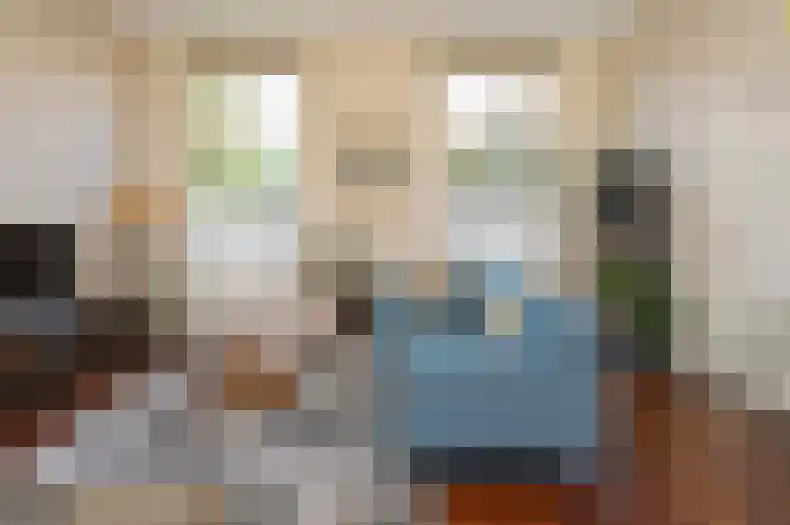 Hogestraat 54 Dieren thumbnail 13