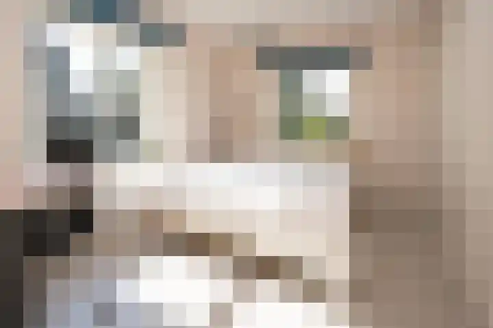 Hogestraat 54 Dieren thumbnail 17