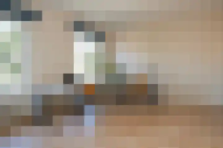 Hogestraat 54 Dieren thumbnail 19