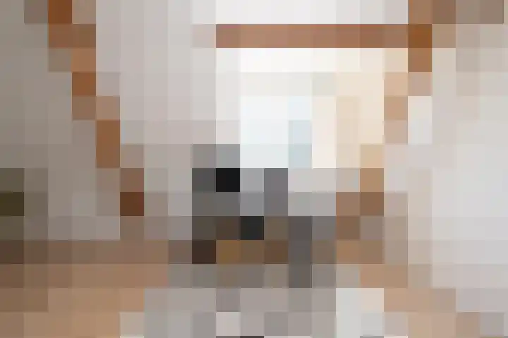 Hogestraat 54 Dieren thumbnail 27
