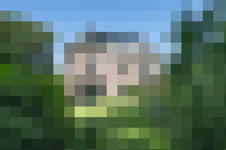 Hogestraat 54 Dieren thumbnail 31