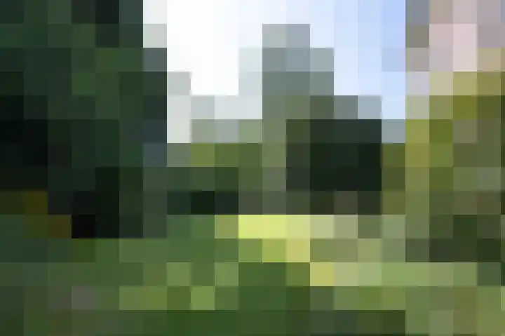 Hogestraat 54 Dieren thumbnail 32