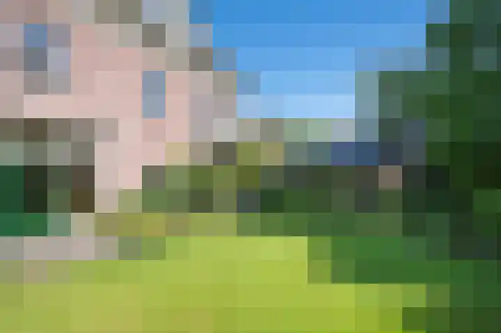 Hogestraat 54 Dieren thumbnail 33