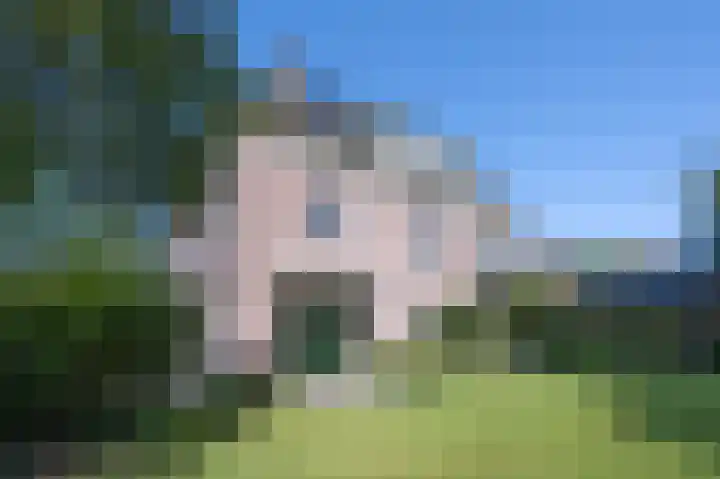 Hogestraat 54 Dieren thumbnail 34