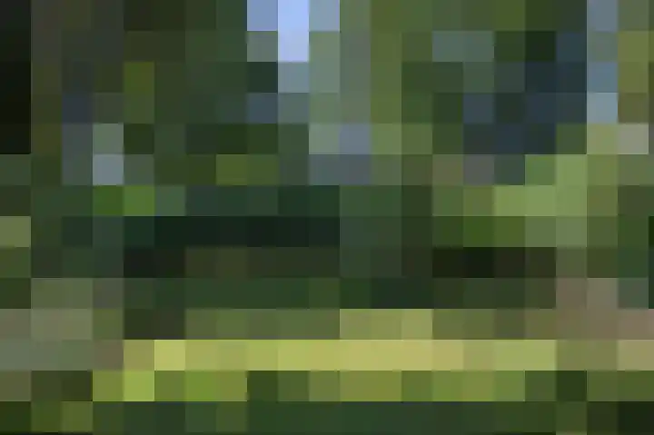 Hogestraat 54 Dieren thumbnail 35