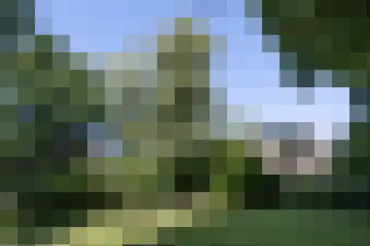 Hogestraat 54 Dieren thumbnail 36