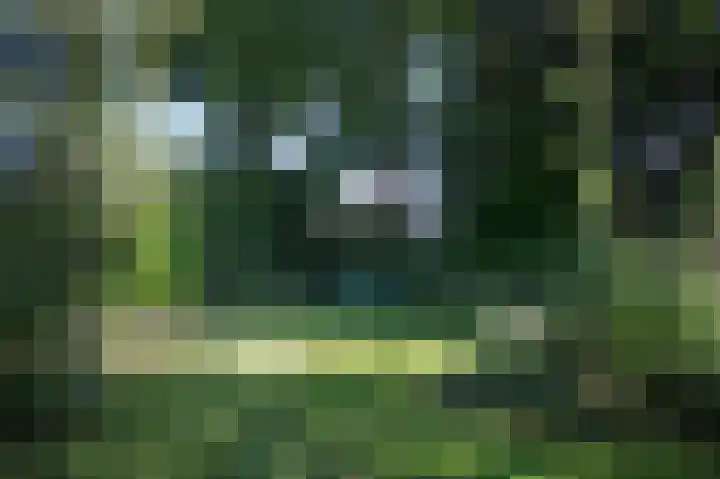 Hogestraat 54 Dieren thumbnail 37