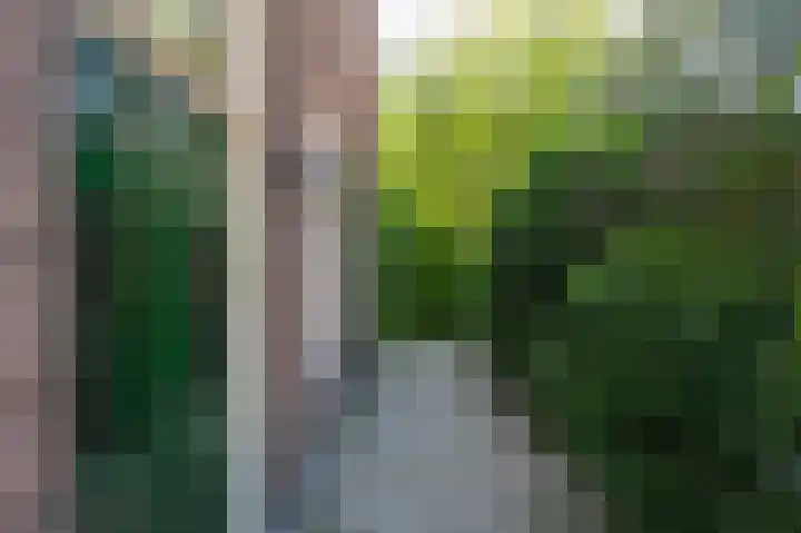 Hogestraat 54 Dieren thumbnail 39