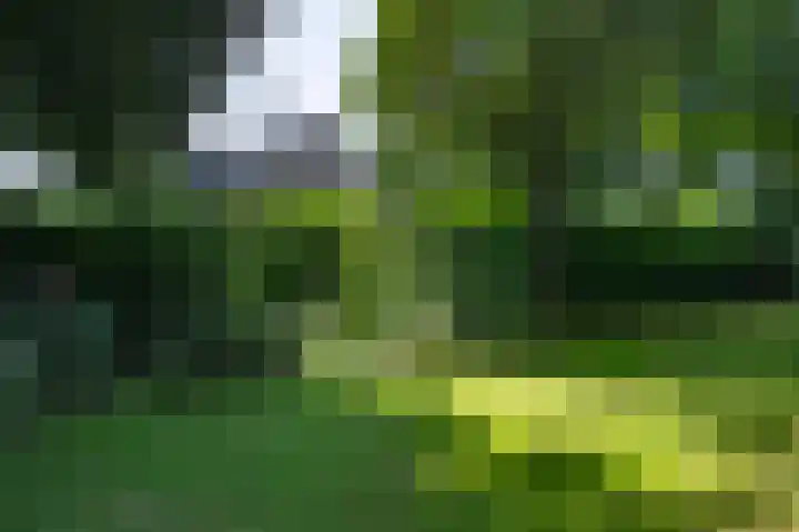 Hogestraat 54 Dieren thumbnail 4