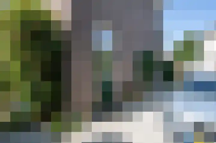 Hogestraat 54 Dieren thumbnail 40