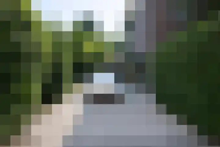 Hogestraat 54 Dieren thumbnail 41
