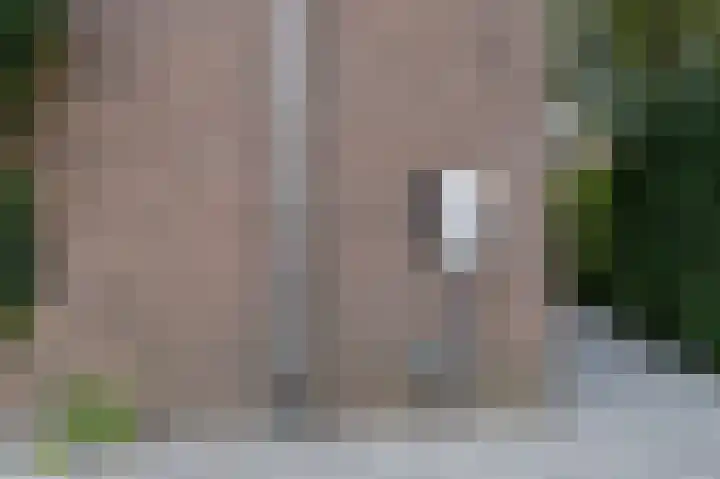 Hogestraat 54 Dieren thumbnail 42