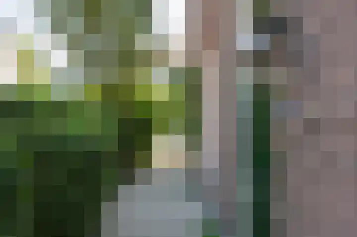Hogestraat 54 Dieren thumbnail 43