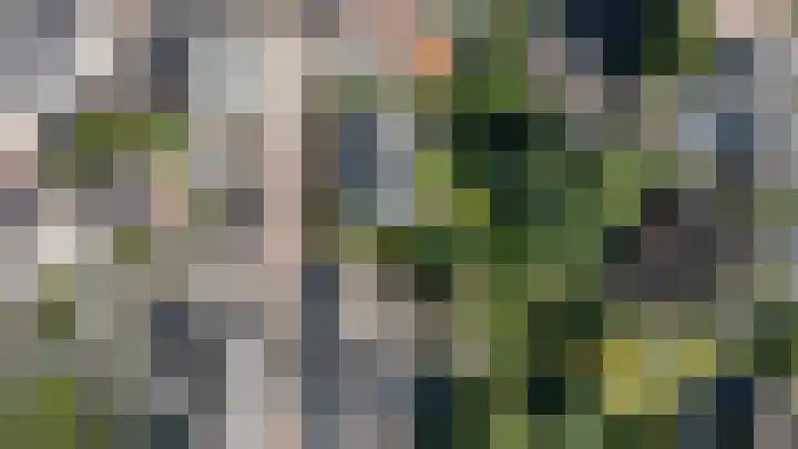 Hogestraat 54 Dieren thumbnail 45