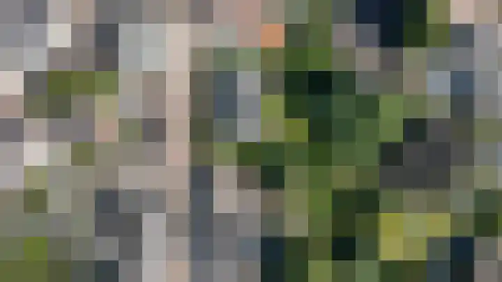 Hogestraat 54 Dieren thumbnail 46