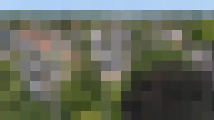 Hogestraat 54 Dieren thumbnail 47
