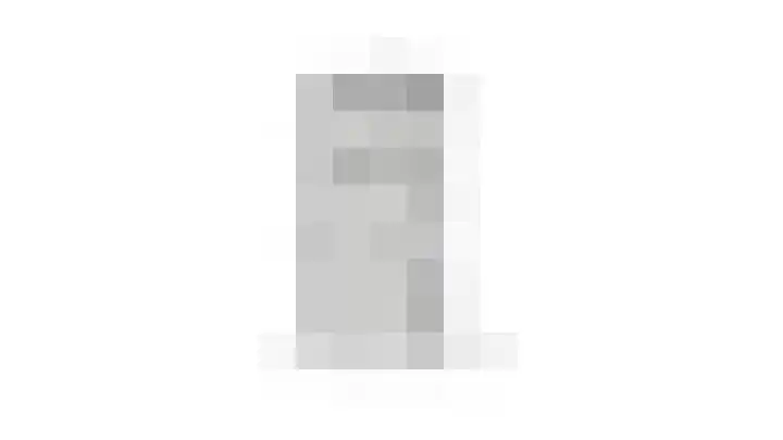 Hogestraat 54 Dieren thumbnail 53