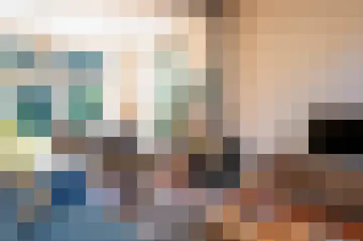 Hogestraat 54 Dieren thumbnail 8