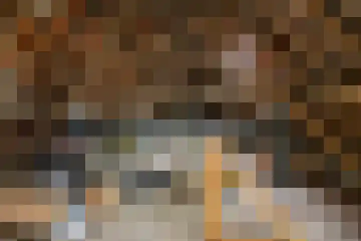 Hogeveld 3 Gendt thumbnail 31