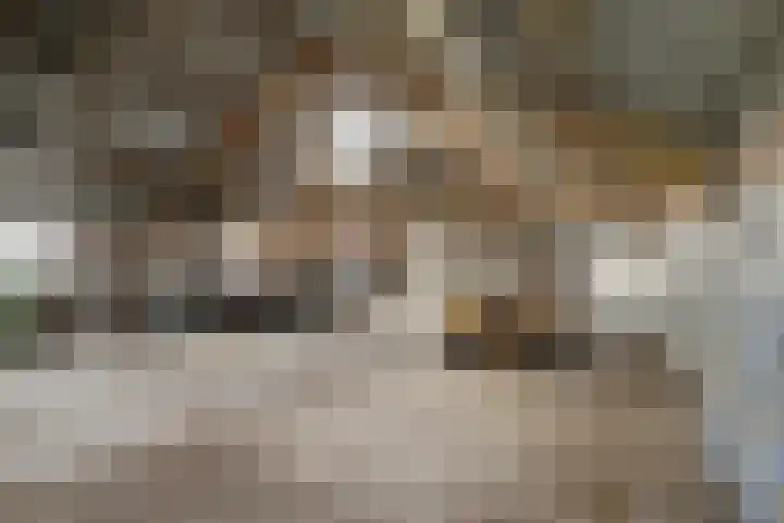 Hogeveld 3 Gendt thumbnail 34