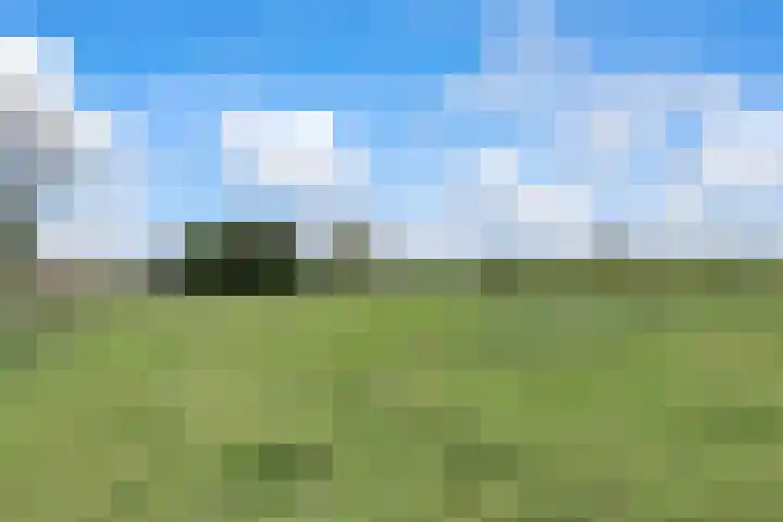 Hogeveld 3 Gendt thumbnail 38
