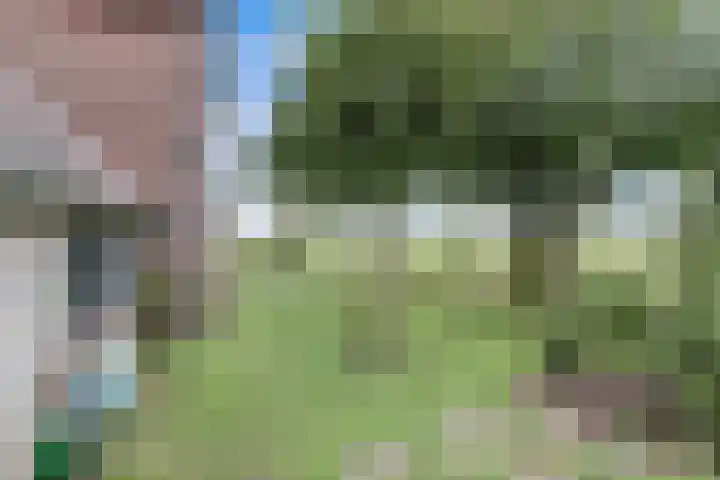 Hogeveld 3 Gendt thumbnail 49
