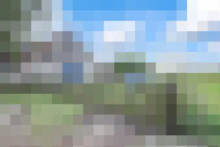 Hogeveld 3 Gendt thumbnail 52