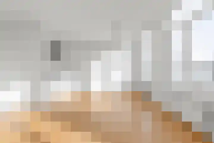 Hogewal 14 Den Haag thumbnail 15