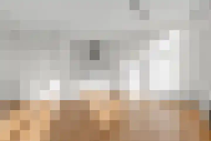 Hogewal 14 Den Haag thumbnail 16