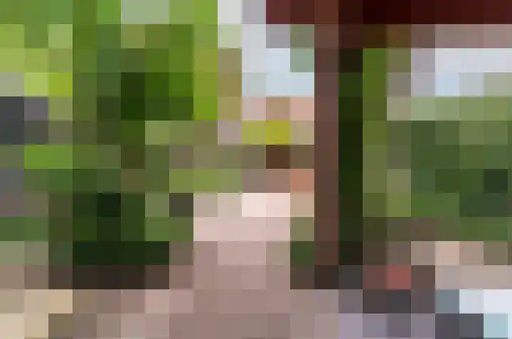 Hogewal 22 Ermelo thumbnail 12