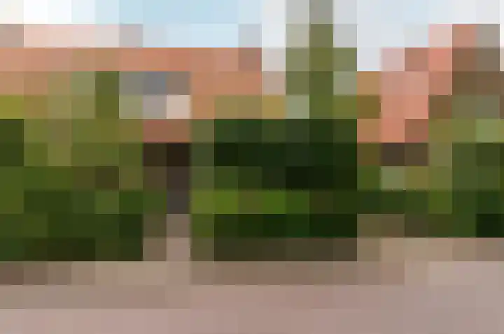 Hogewal 22 Ermelo thumbnail 13