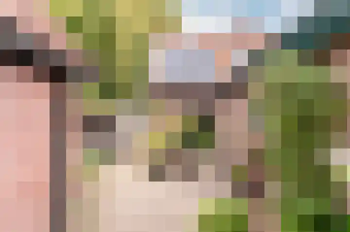 Hogewal 22 Ermelo thumbnail 42