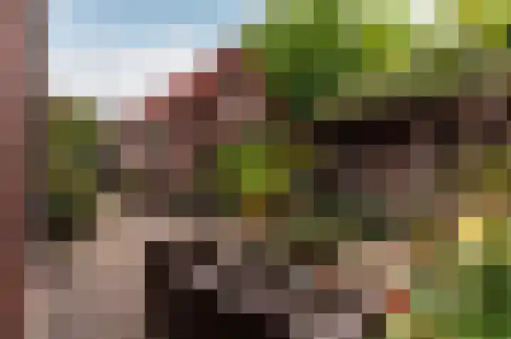 Hogewal 22 Ermelo thumbnail 44