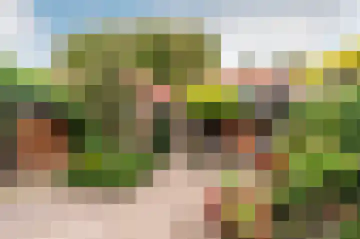 Hogewal 22 Ermelo thumbnail 6
