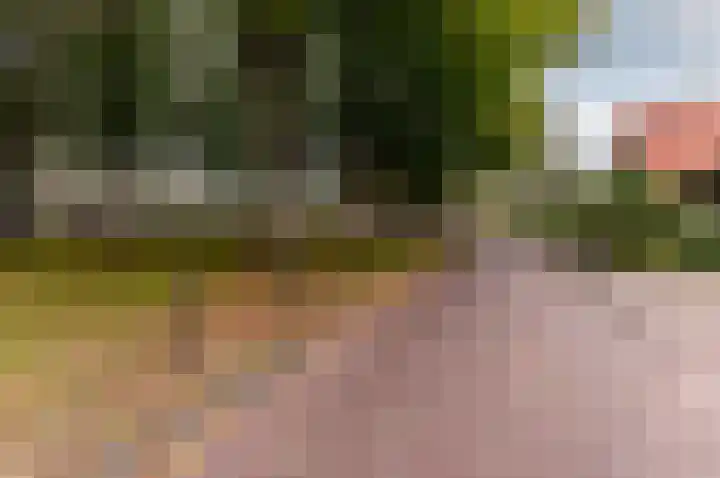 Hogewal 22 Ermelo thumbnail 65