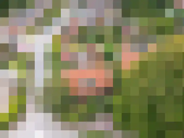 Hogewal 22 Ermelo thumbnail 66