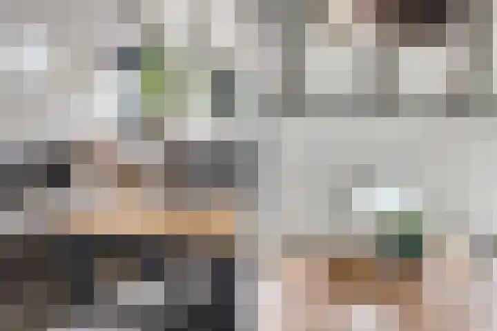 Hogeweg 15 Kamperveen thumbnail 11