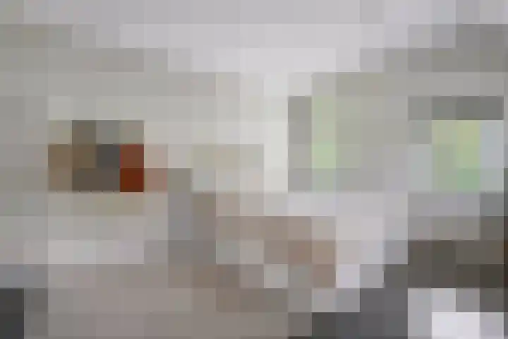 Hogeweg 15 Kamperveen thumbnail 22