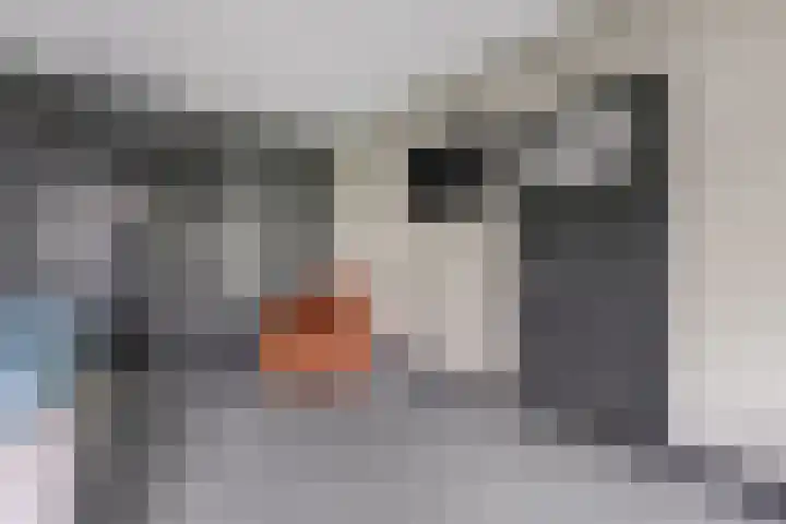 Hogeweg 15 Kamperveen thumbnail 24