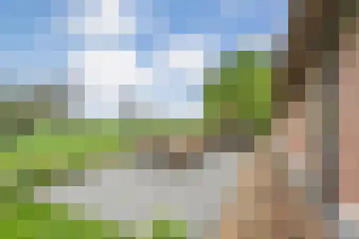 Hogeweg 15 Kamperveen thumbnail 38