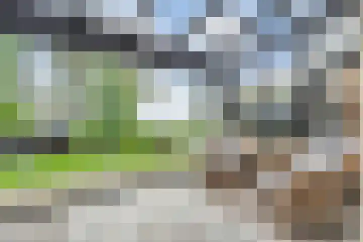 Hogeweg 15 Kamperveen thumbnail 4
